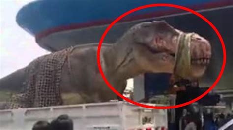 dinasours are fake
